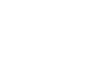 LUIZ