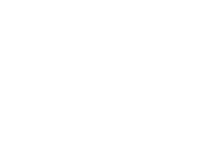The Bastard BBQ