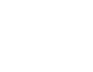 VIBIA